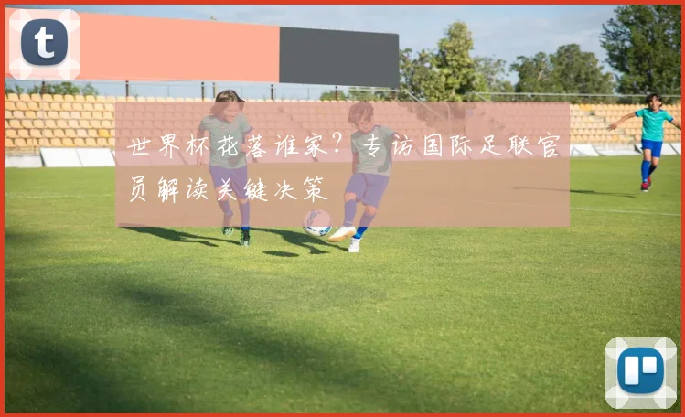 世界杯花落谁家?专访国际足联官员解读关键决策