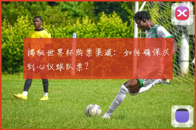揭秘世界杯购票渠道：如何确保买到心仪球队票？