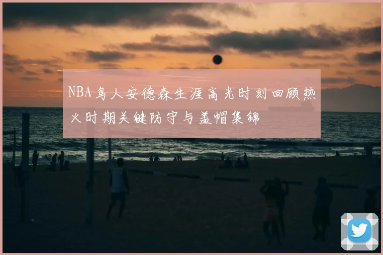 NBA鸟人安德森生涯高光时刻回顾热火时期关键防守与盖帽集锦