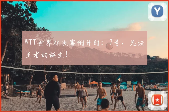 WTT世界杯决赛倒计时:7号,见证王者的诞生!