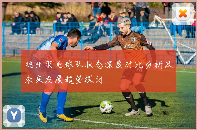 杭州羽毛球队状态深度对比分析及未来发展趋势探讨