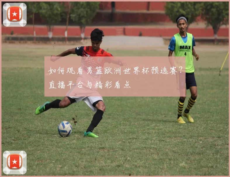 如何观看男篮欧洲世界杯预选赛？直播平台与精彩看点