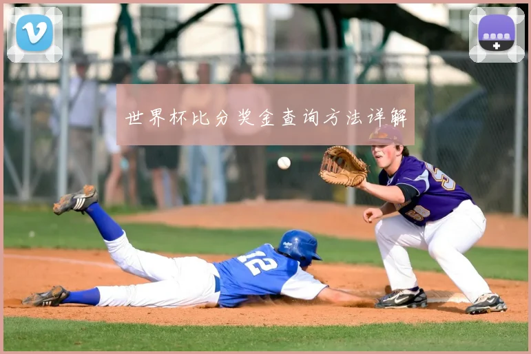 世界杯比分奖金查询方法详解