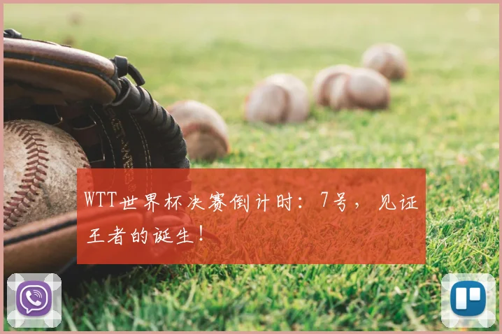 WTT世界杯决赛倒计时:7号,见证王者的诞生!