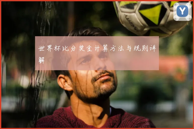 世界杯比分奖金计算方法与规则详解