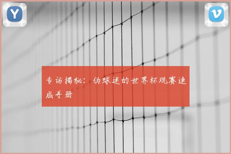 专访揭秘：伪球迷的世界杯观赛速成手册
