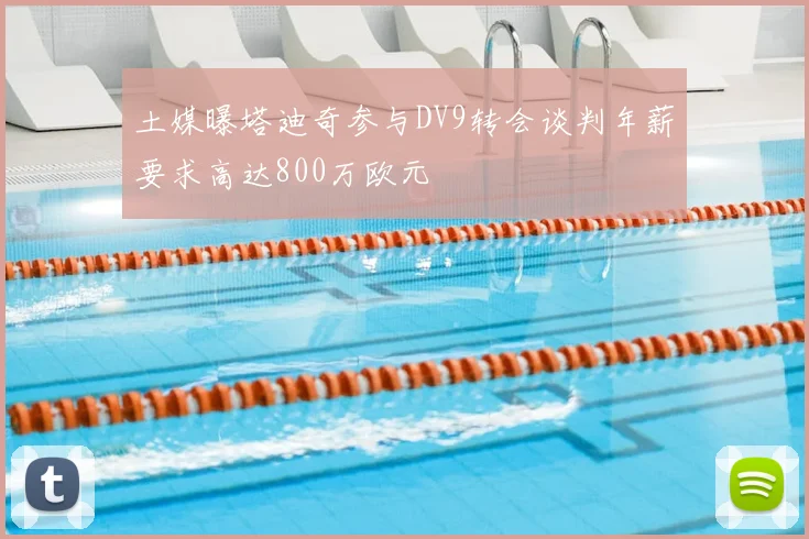 土媒曝塔迪奇参与DV9转会谈判年薪要求高达800万欧元