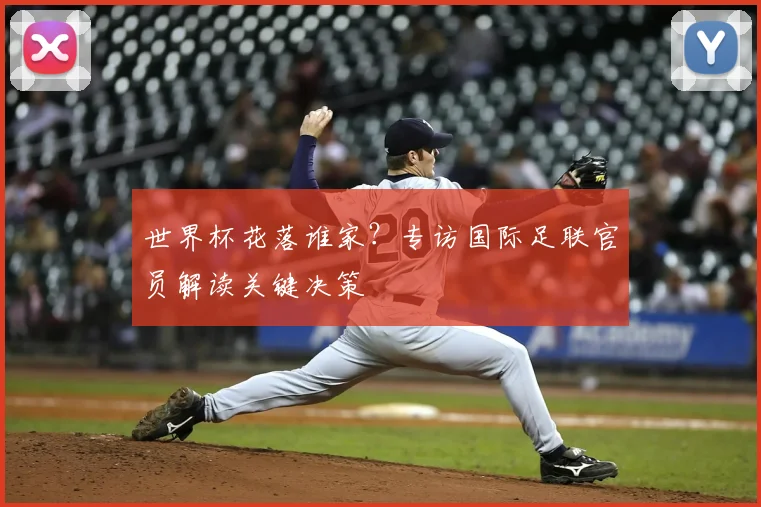 世界杯花落谁家?专访国际足联官员解读关键决策