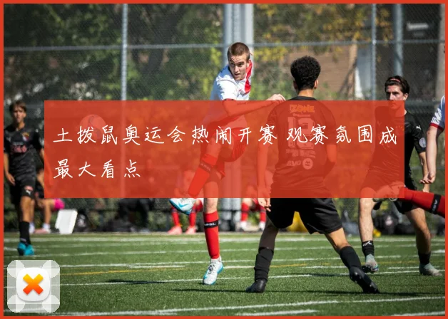土拨鼠奥运会热闹开赛 观赛氛围成最大看点
