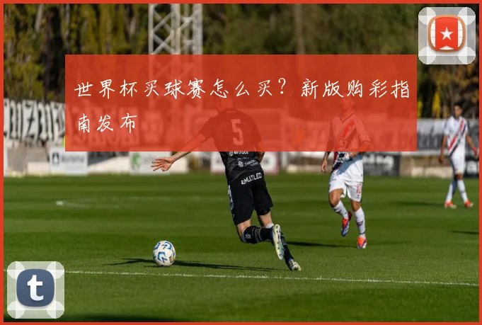 世界杯买球赛怎么买？新版购彩指南发布
