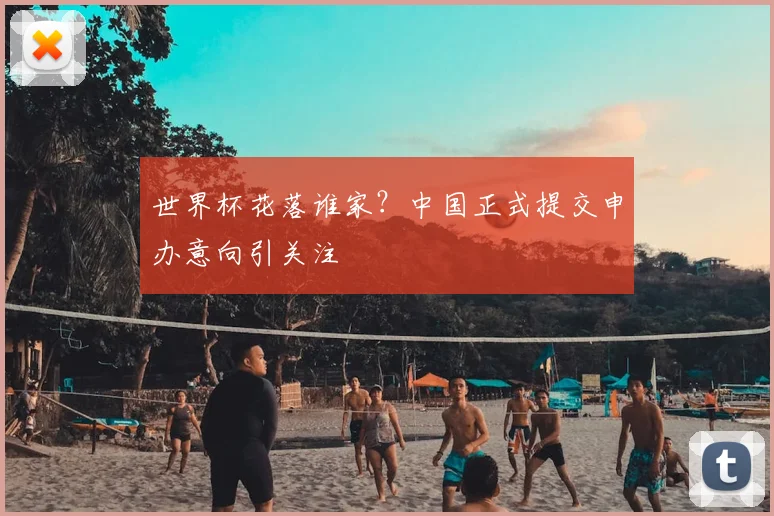 世界杯花落谁家?中国正式提交申办意向引关注