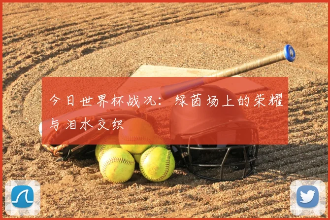 今日世界杯战况：绿茵场上的荣耀与泪水交织