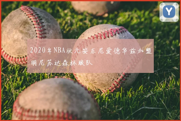 2020年NBA状元安东尼爱德华兹加盟明尼苏达森林狼队